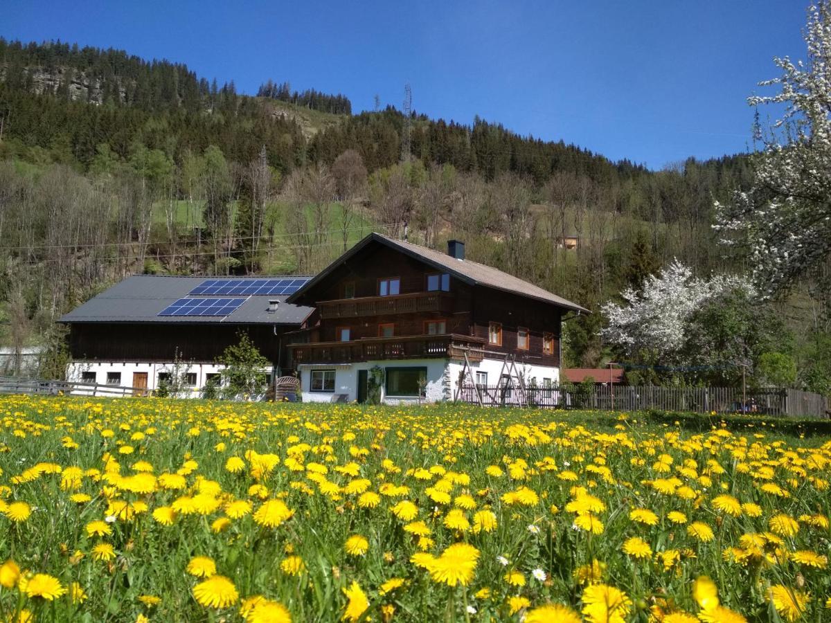 Blonbauer Villa Schladming Ngoại thất bức ảnh